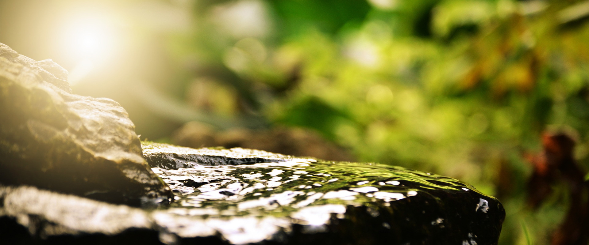 website-image-9